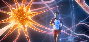 Allenare il cervello: perché l’attività sportiva rende più intelligenti