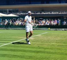Wimbledon, Berrettini prestazione super: servizio e dritto e una rinnovata serenità